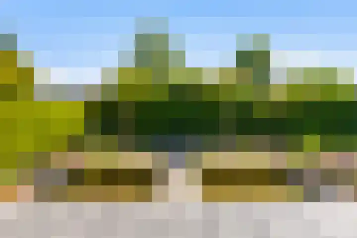 Foarwei 13 Damwâld thumbnail 34