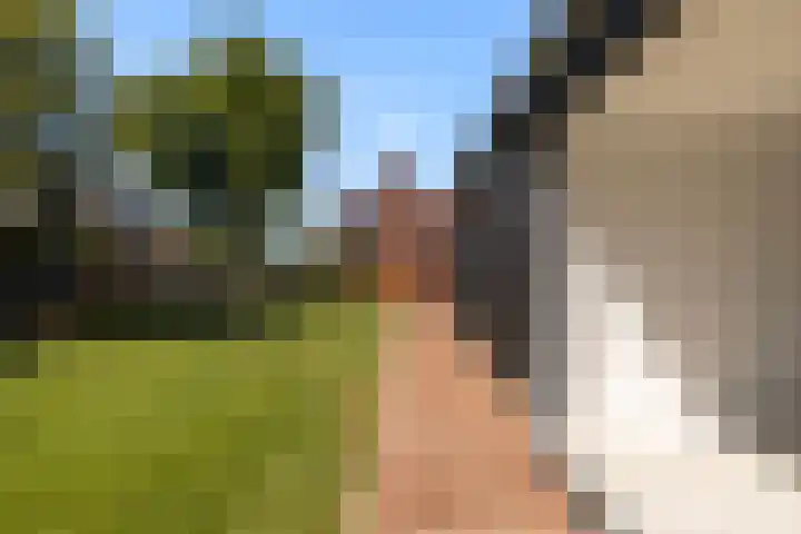 Foarwei 13 Damwâld thumbnail 36