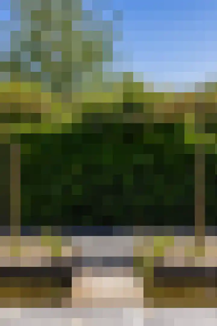 Foarwei 13 Damwâld thumbnail 37