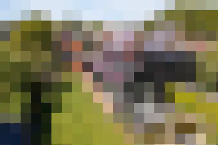Foarwei 13 Damwâld thumbnail 58