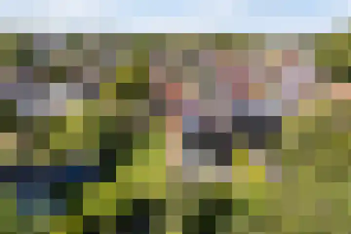Foarwei 13 Damwâld thumbnail 59