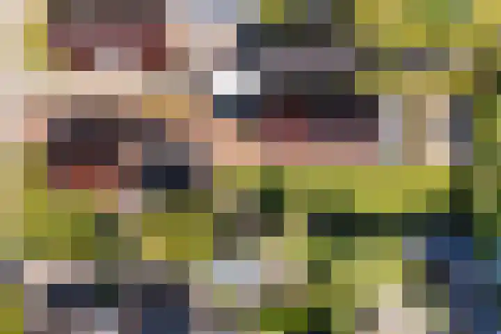 Foarwei 13 Damwâld thumbnail 60