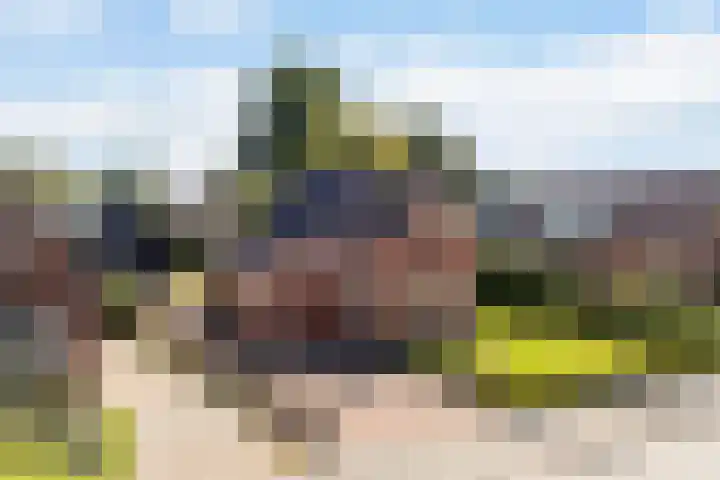 Foarwei 13 Damwâld thumbnail 62