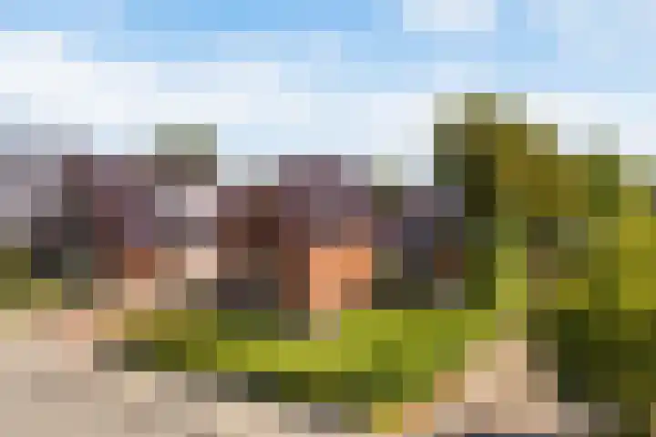 Foarwei 13 Damwâld thumbnail 63
