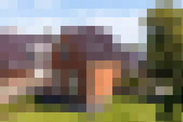 Foarwei 13 Damwâld thumbnail 64