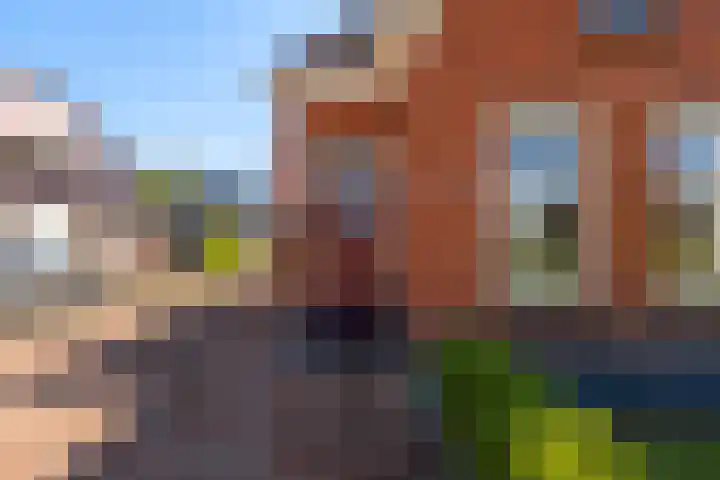 Foarwei 13 Damwâld thumbnail 7