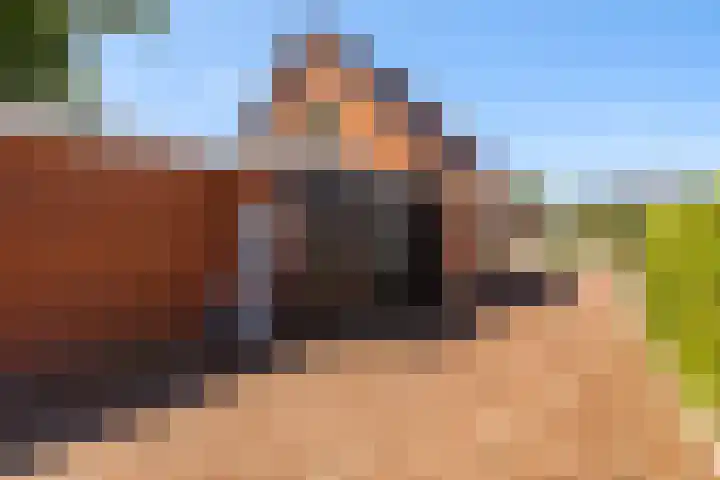 Foarwei 13 Damwâld thumbnail 8