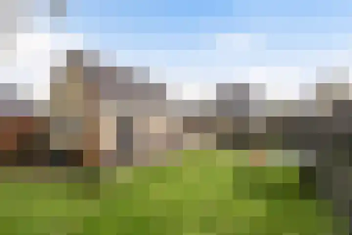 Foarwei 138 Kollumersweach thumbnail 41