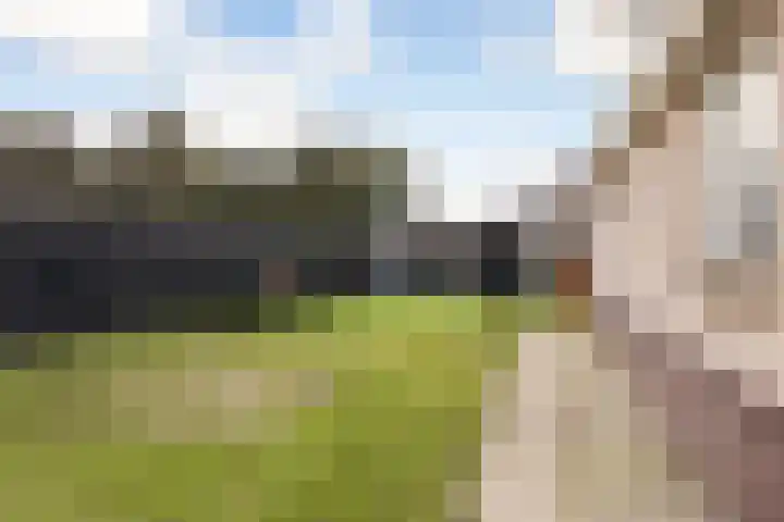 Foarwei 138 Kollumersweach thumbnail 42