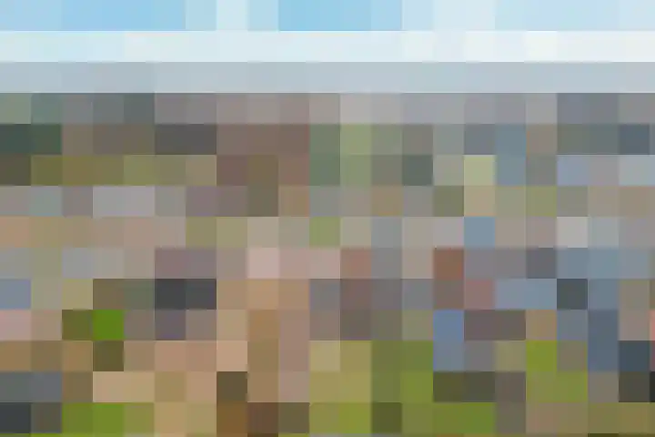 Foarwei 138 Kollumersweach thumbnail 48