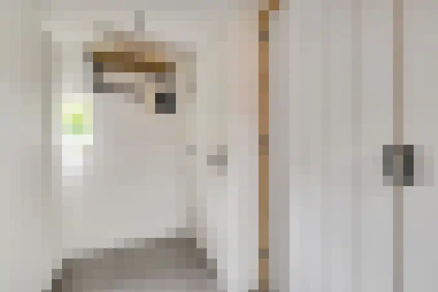 Foarwei 15 Driezum thumbnail 19