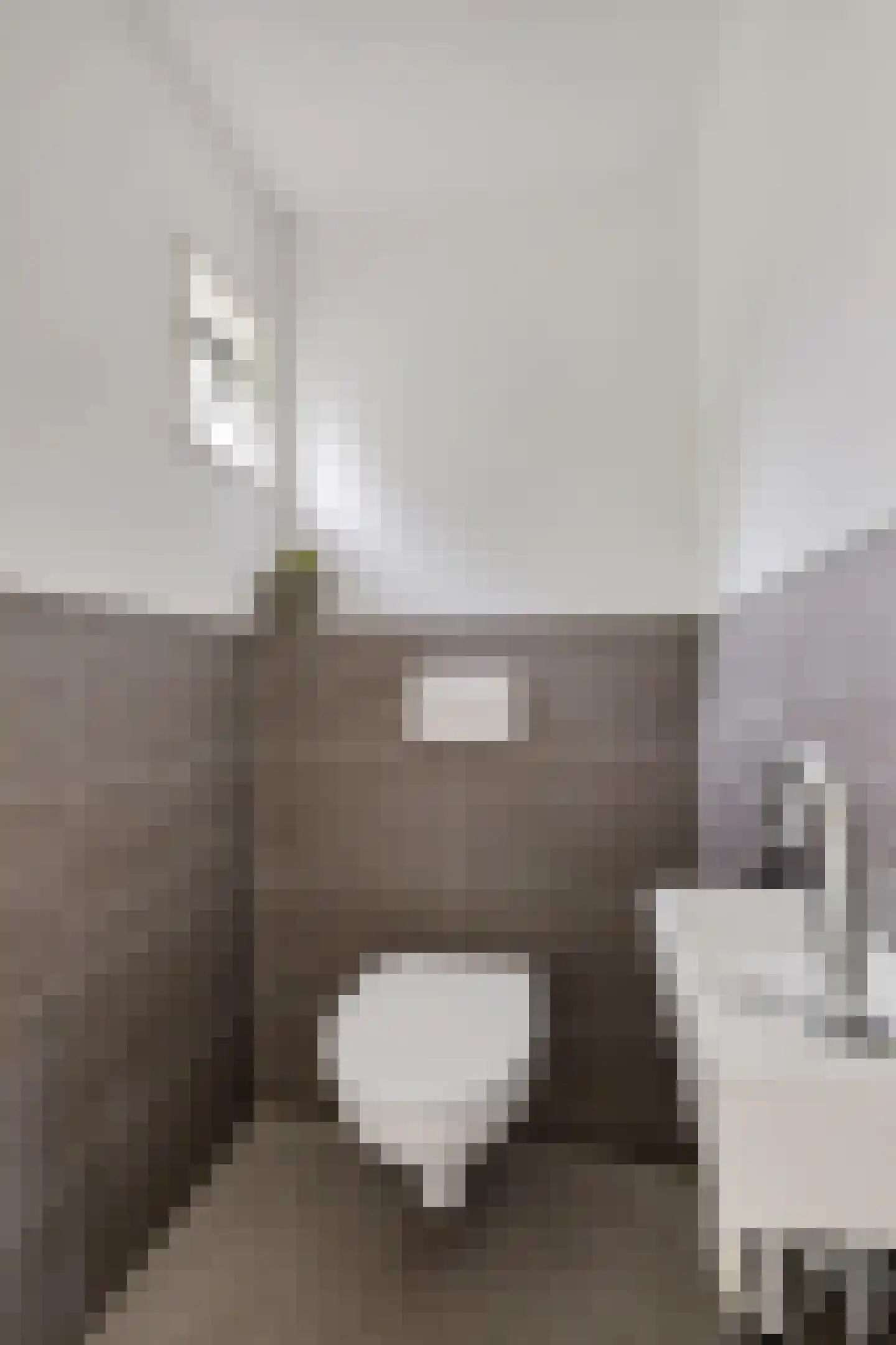 Foarwei 15 Driezum thumbnail 20