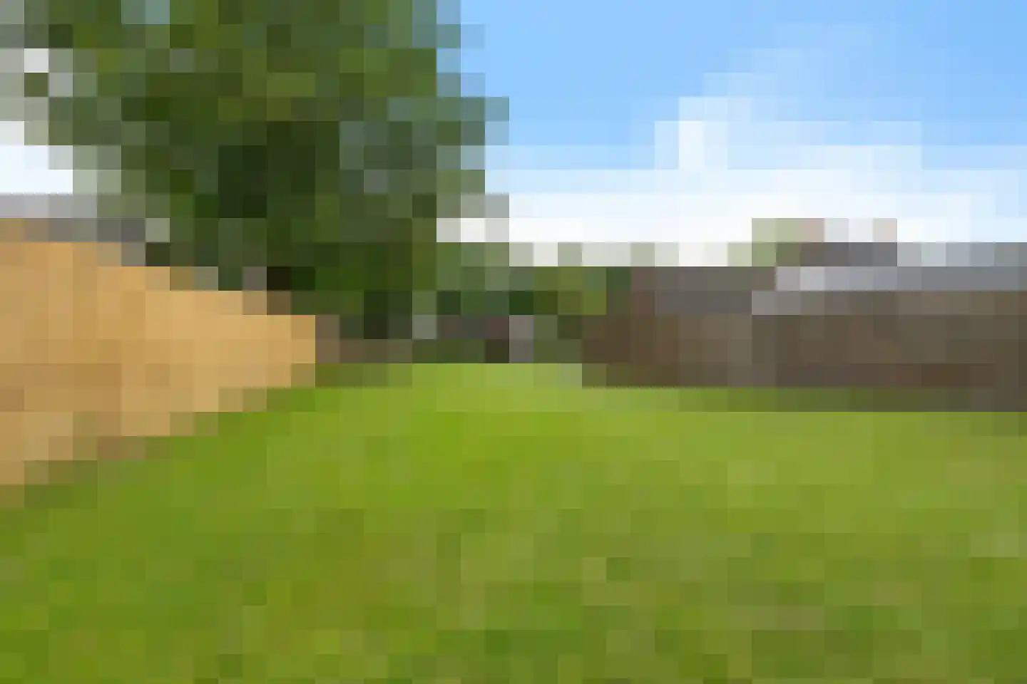 Foarwei 15 Driezum thumbnail 36