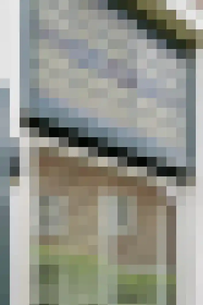Foarwei 15 Driezum thumbnail 6