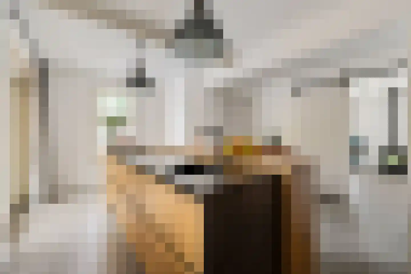 Foarwei 15 Driezum thumbnail 9
