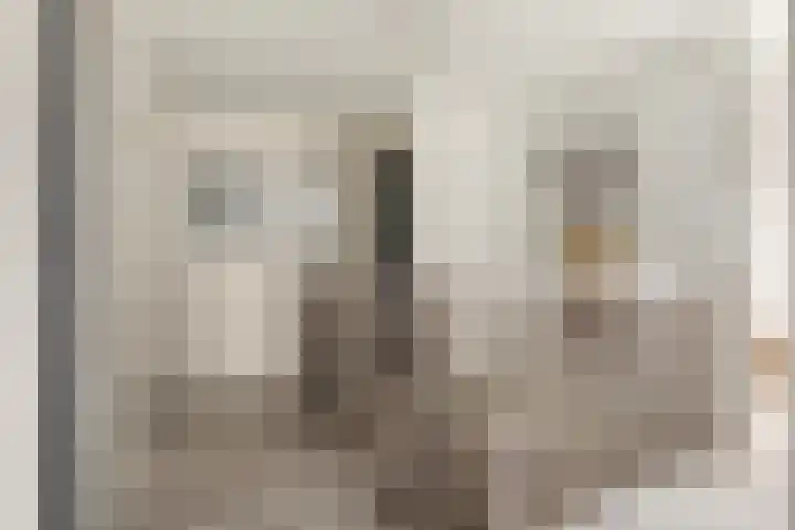 Foarwei 189 Kollumersweach thumbnail 29