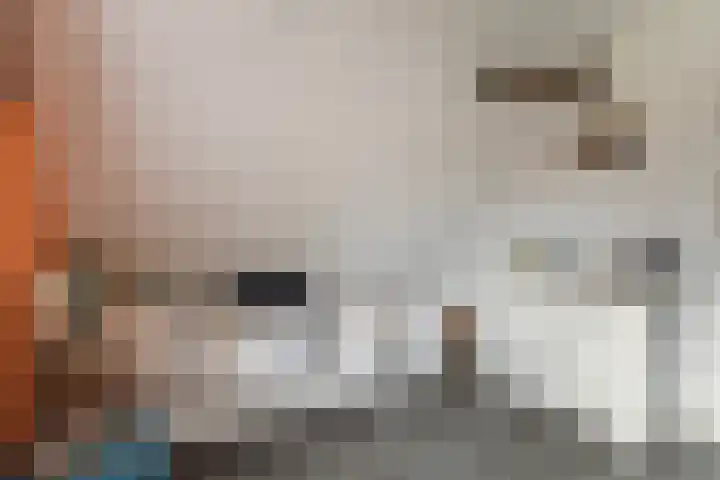 Foarwei 189 Kollumersweach thumbnail 39