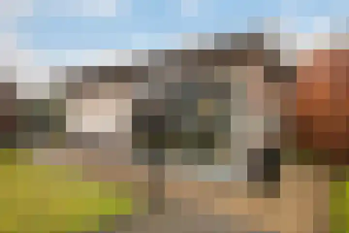 Foarwei 189 Kollumersweach thumbnail 45