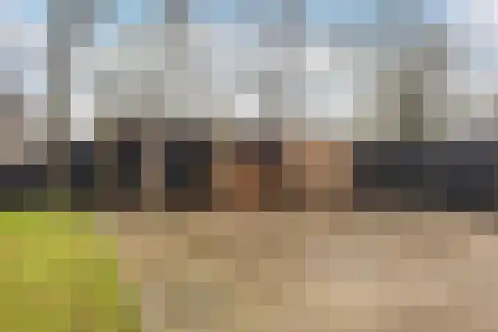 Foarwei 189 Kollumersweach thumbnail 46