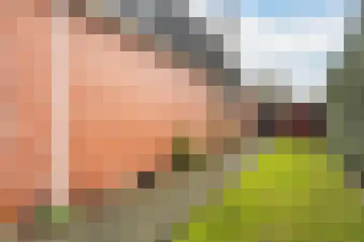Foarwei 189 Kollumersweach thumbnail 47