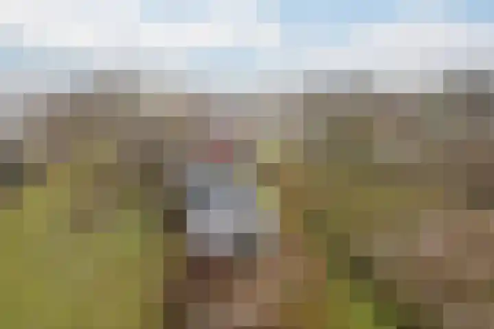Foarwei 189 Kollumersweach thumbnail 49