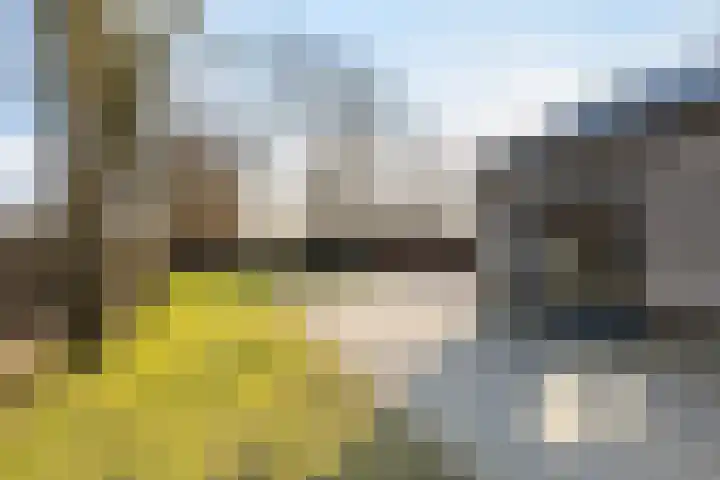 Foarwei 189 Kollumersweach thumbnail 52