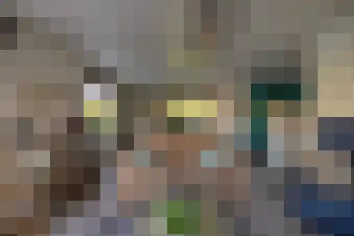 Foarwei 21 23 Aldwâld thumbnail 13