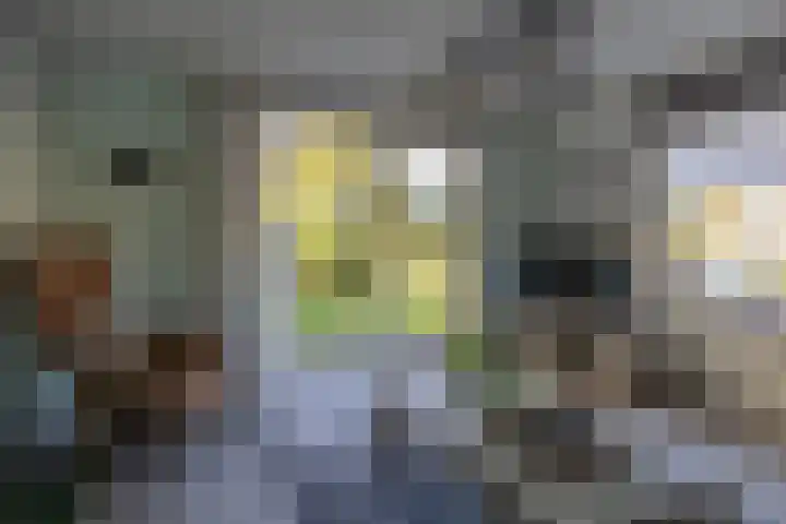 Foarwei 21 23 Aldwâld thumbnail 15