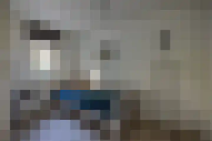 Foarwei 21 23 Aldwâld thumbnail 17