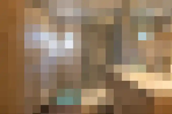Foarwei 21 23 Aldwâld thumbnail 24
