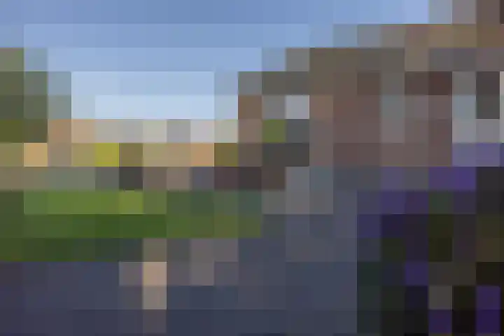 Foarwei 21 23 Aldwâld thumbnail 27
