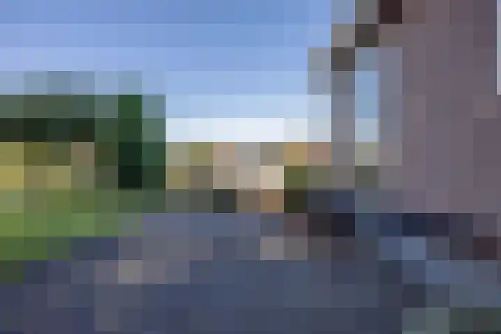 Foarwei 21 23 Aldwâld thumbnail 28