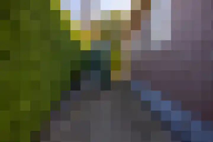 Foarwei 21 23 Aldwâld thumbnail 29