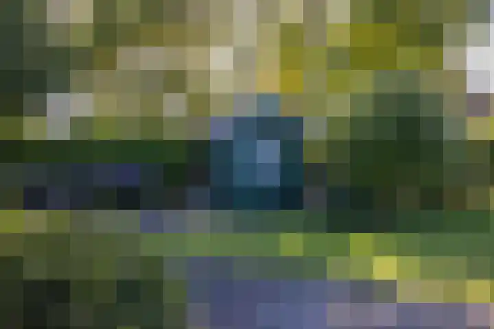 Foarwei 21 23 Aldwâld thumbnail 32
