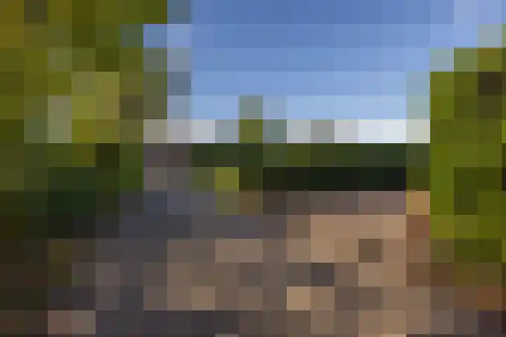 Foarwei 21 23 Aldwâld thumbnail 37