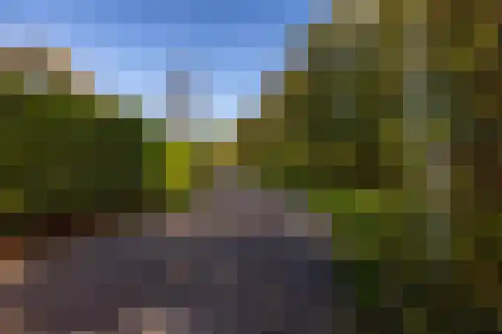 Foarwei 21 23 Aldwâld thumbnail 38