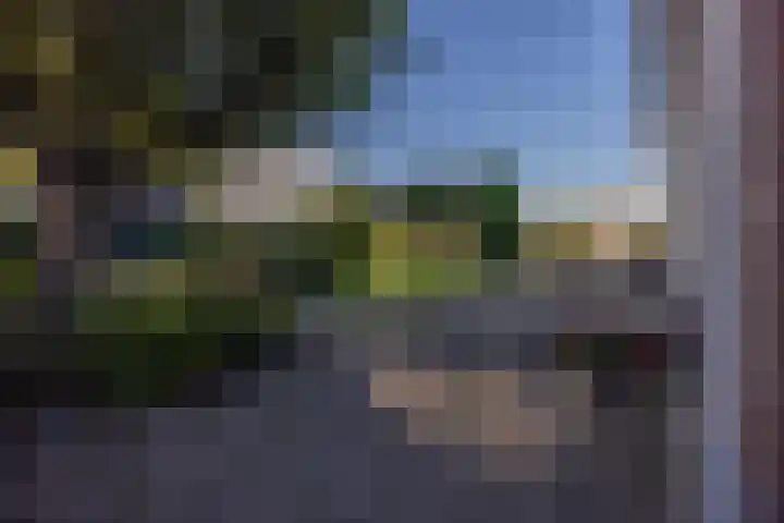 Foarwei 21 23 Aldwâld thumbnail 39