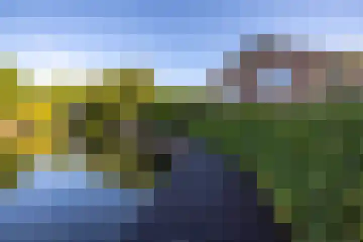 Foarwei 21 23 Aldwâld thumbnail 4