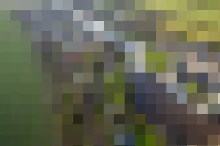 Foarwei 21 23 Aldwâld thumbnail 40