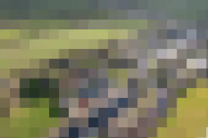 Foarwei 21 23 Aldwâld thumbnail 41