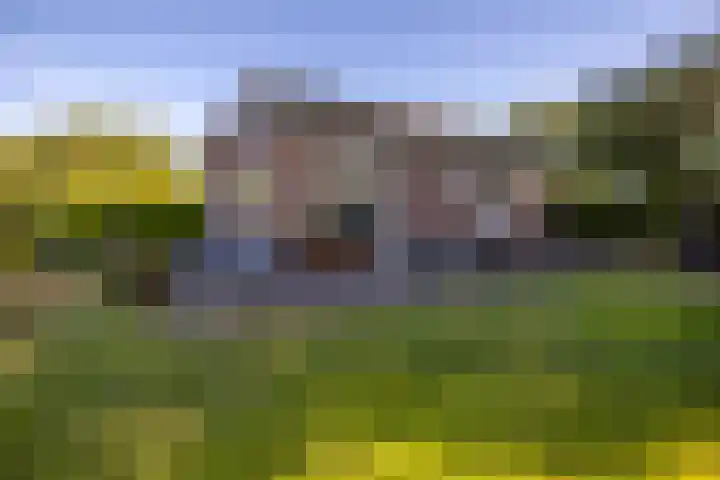 Foarwei 21 23 Aldwâld thumbnail 6