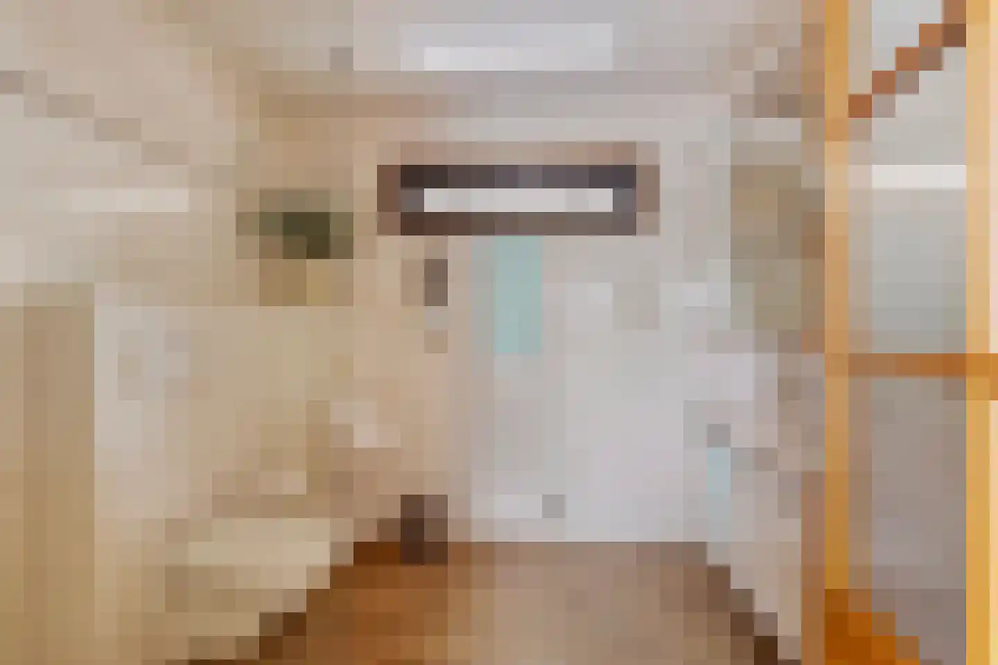 Foarwei 21 3 Aldwâld thumbnail 19