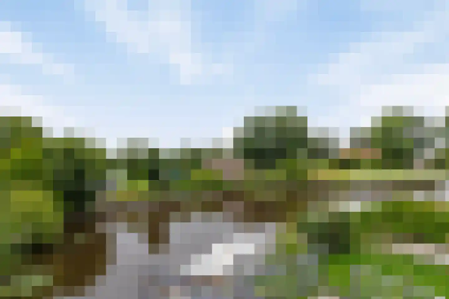 Foarwei 21 3 Aldwâld thumbnail 24