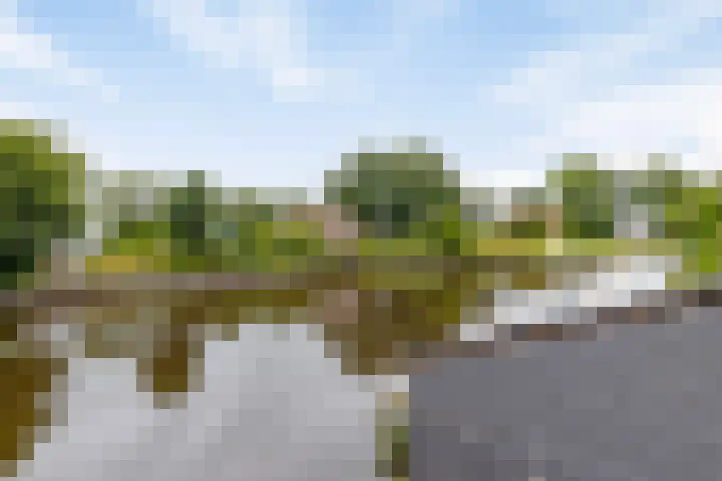 Foarwei 21 3 Aldwâld thumbnail 26