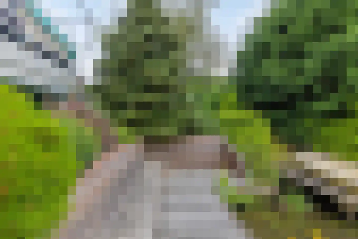 Foarwei 21 3 Aldwâld thumbnail 27