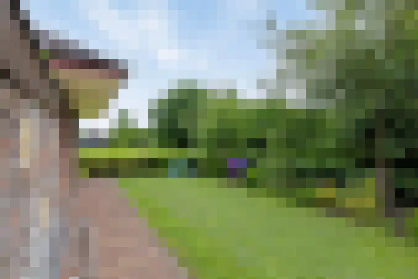 Foarwei 21 3 Aldwâld thumbnail 28