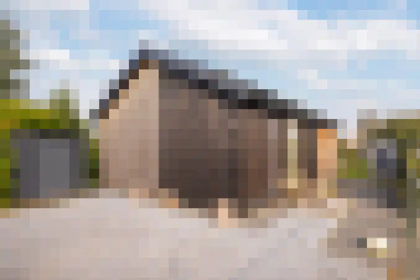 Foarwei 21 86 Aldwâld thumbnail 19