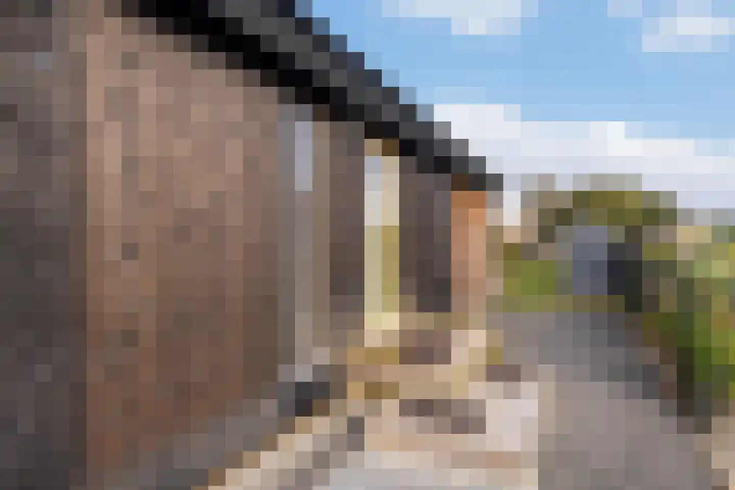 Foarwei 21 86 Aldwâld thumbnail 20