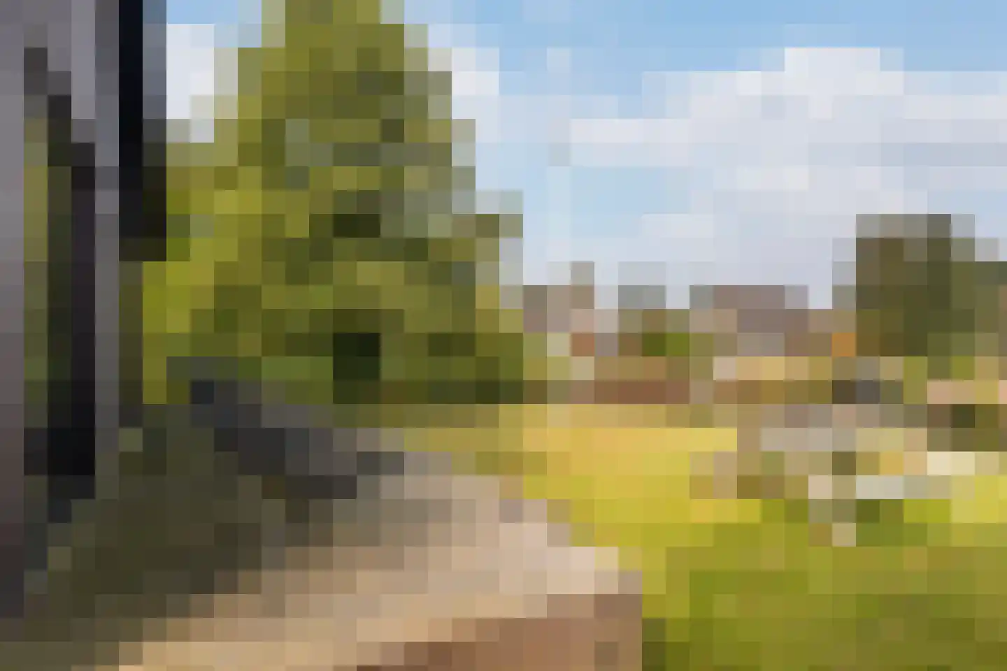 Foarwei 21 86 Aldwâld thumbnail 21