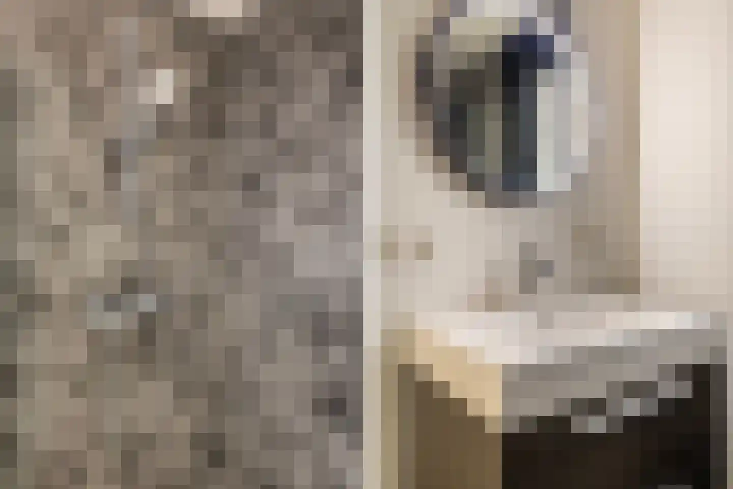 Foarwei 21 86 Aldwâld thumbnail 31